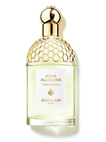 Aqua Allegoria Herba Fresca by Guerlain 100ml