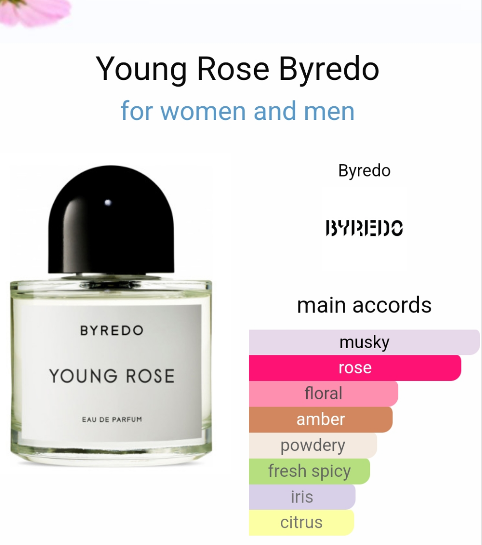 Young rose by byredo 100ml