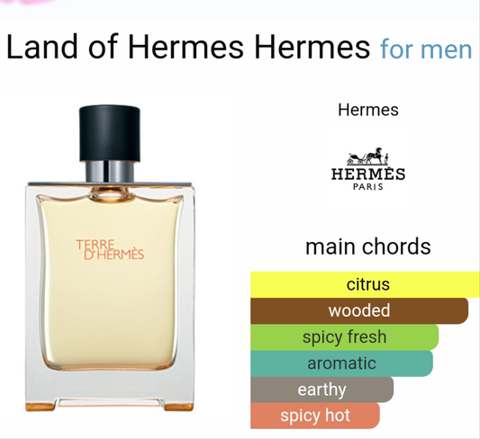 Terre d'Hermès by Hermès 100ml