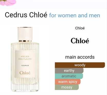 Cedrus by Chloé 100ml